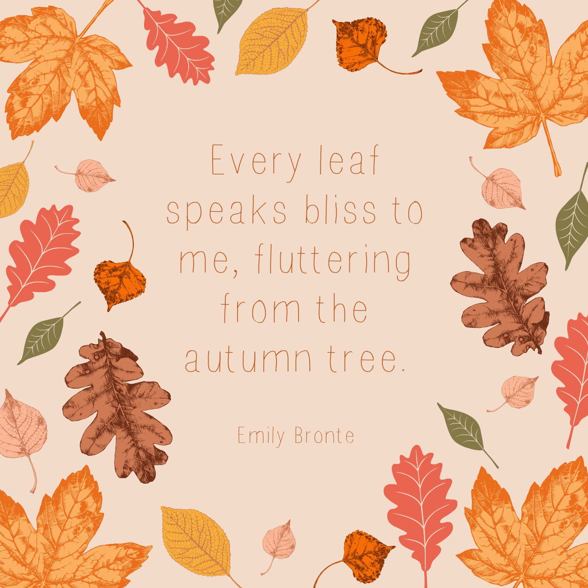 LaurieEnos2's tweet image. Happy First Day of Fall!  #firstdayofall #firstdayoffall2019 #bluelilacmarketing #changeofseasons #autumn #leaveschanging