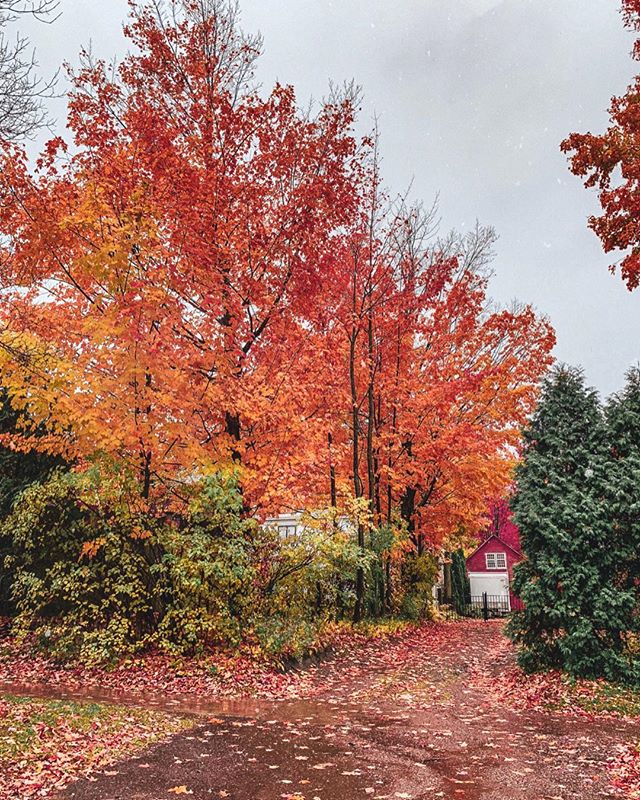 It's time to witness the beauty of Mother Nature! Happy first day of fall! 🍂 🍁 #FallEquinox