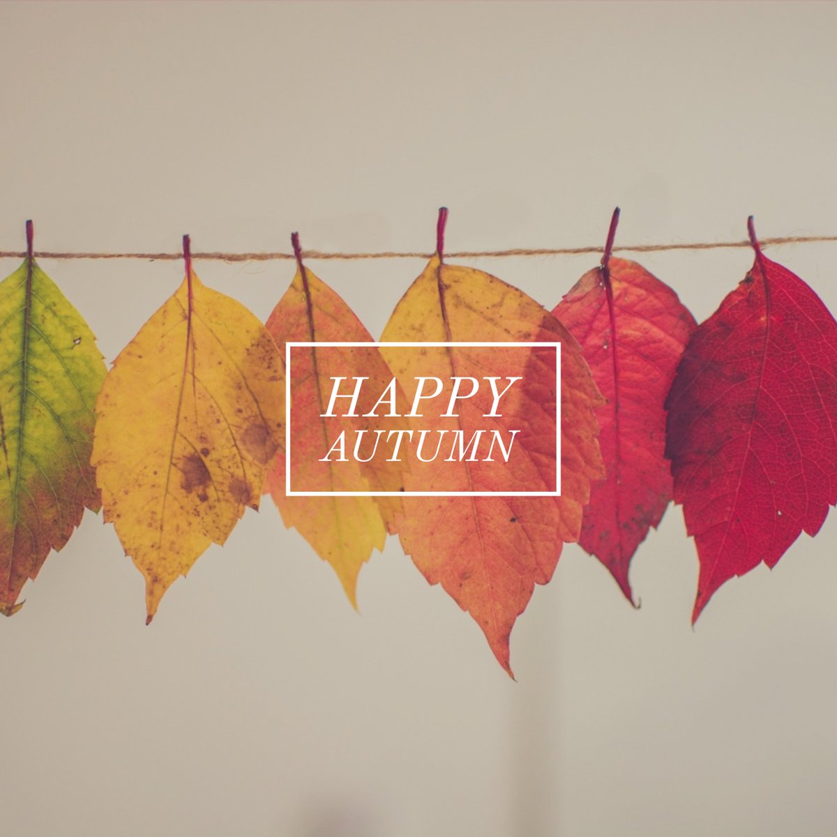 Fall leaves hanging on a string