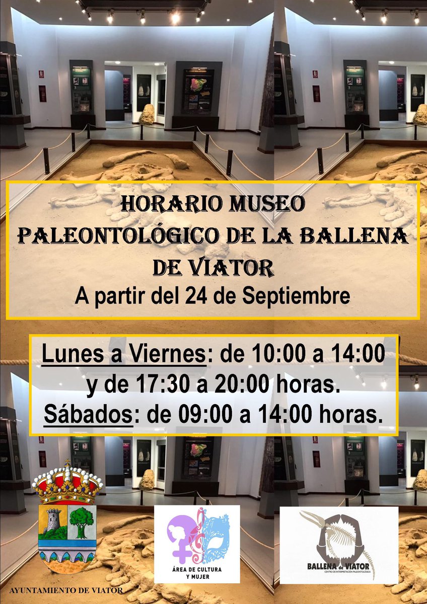 ❌¡ATENCIÓN! ❌
A partir de mañana, 24 de septiembre, después del verano, volvemos abrir el Museo Paleontológico de la Ballena. ¡Ven y visítanos! 💦🐳