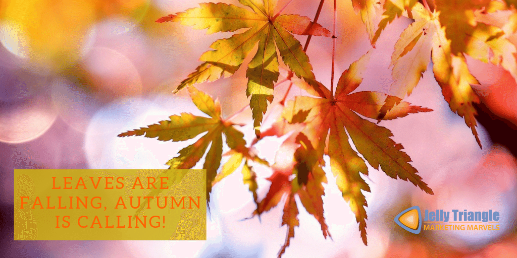 JellyTriangle's tweet photo. Leaves are falling, autumn is calling!

We love the fall and the change of colours.

#outdoor #autumn #fall #colours #smallbusiness #kitchener #waterloo #cambridge #KWawesome https://t.co/YJIG9nOu9x