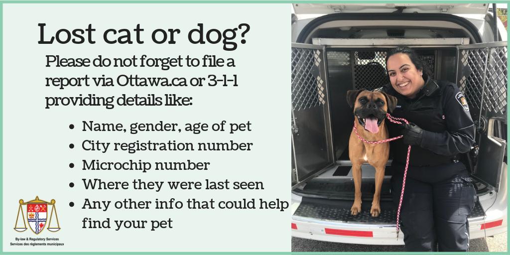 Hey #OttCity! Did your dog or cat go missing? 

Social media is a great way to spread the word, but don't forget to give us a heads up as well by filing a report online or via 3-1-1. 

<a href="/ottawahumane/">Ottawa Humane Society</a> <a href="/OttawaLostPet/">Ottawa&ValleyLostPet</a>