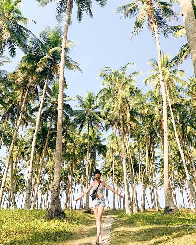 Linseyyang's tweet photo. Find me under the palm trees 🌴 #diytravelphilippines #siargaophilippines #anggandamopilipinas https://t.co/W0idjTsfmV https://t.co/e34B4RzfS1