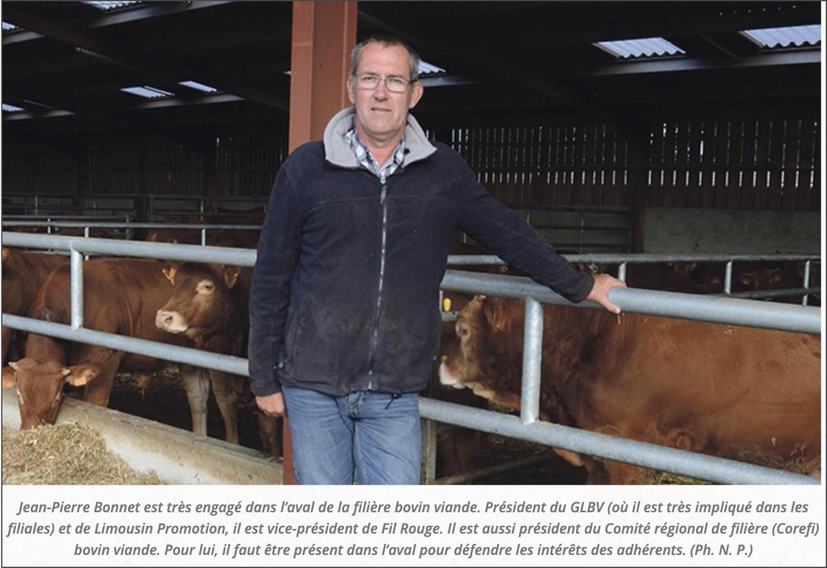 #Portrait  Jean-Pierre Bonnet, très impliqué dans la filière aval #bovin viande, est associé au sein du Gaec Bonnet-Boyer à #ChâteauChervix, qui met en avant la sélection mais aussi l’engraissement haute capacité.
terredactu.com/portrait-jp-bo…
