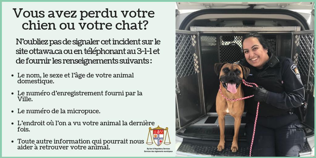 Vous avez perdu votre chien ou votre chat?

Les réseaux sociaux sont un excellent moyen de passer le mot, mais n'oubliez pas de nous informer en déposant un rapport en ligne ou via 3-1-1. 
<a href="/ottawahumane/">Ottawa Humane Society</a> <a href="/OttawaLostPet/">Ottawa&ValleyLostPet</a>
  #ottville