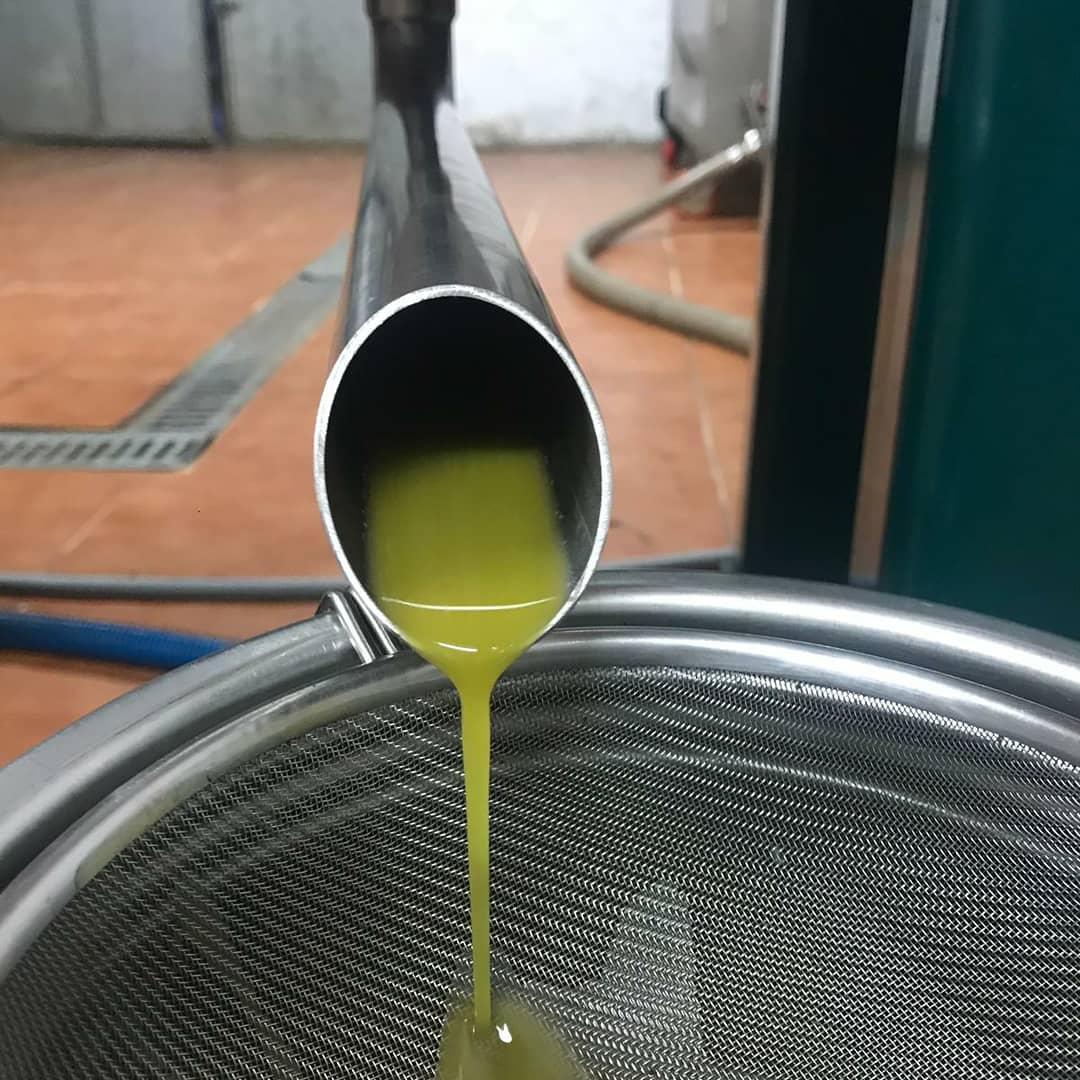 olidexabia's tweet photo. Ya tenemos en marcha la nueva campaña con nuestra espectacular #empeltre que como siempre es la primera en ser recolectada manualmente con mucho esmero y mimo para conseguir la máxima calidad #aove #oliscv #olivar #aovemediterraneo #xàbia @olidexabia @Oligarum_ https://t.co/h3wgSaYXr8