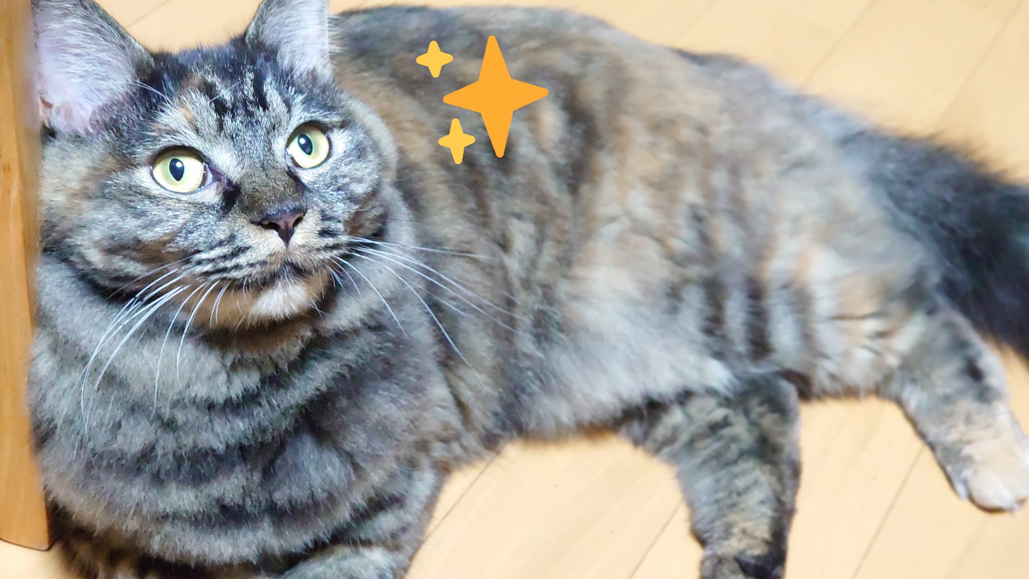 a1857🐈️.bintroll on X: 