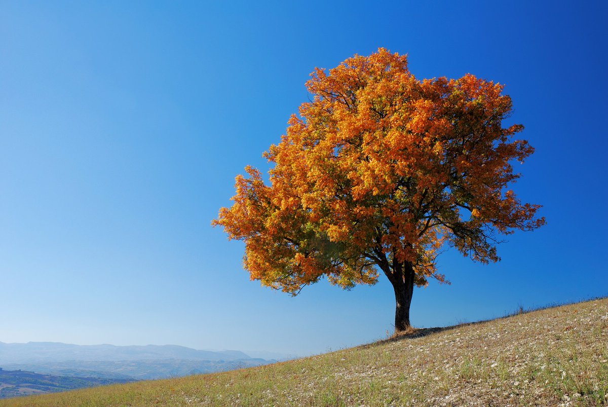 womenonpoint's tweet photo. Today is the first day of #fall, and the first day of a new #season! What are you going to accomplish this season? #strategicgameplan #goals #ONPoint https://t.co/epuhBQGwbP