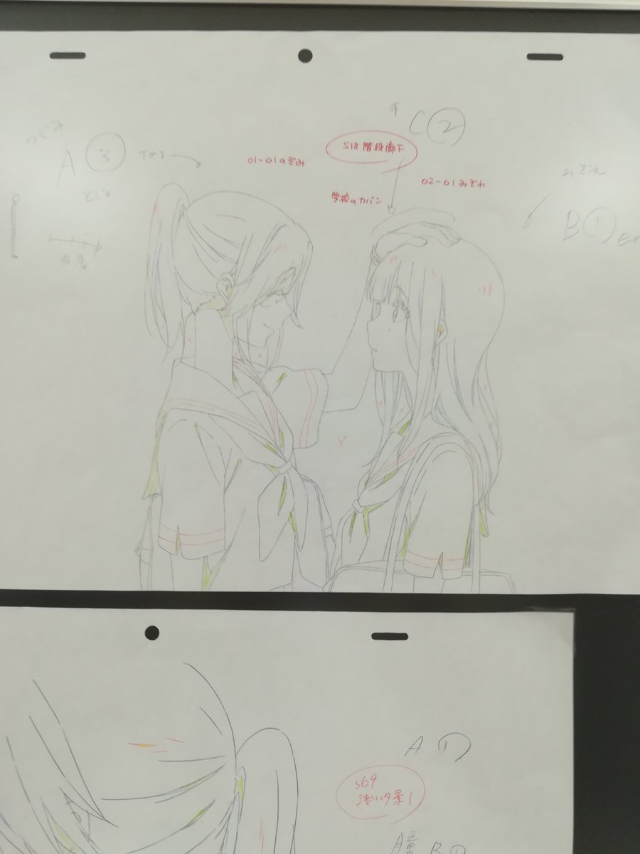 わいもオリオン書房ノルテでのぞみぞを見たよ 