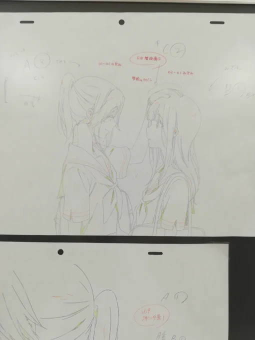 わいもオリオン書房ノルテでのぞみぞを見たよ 