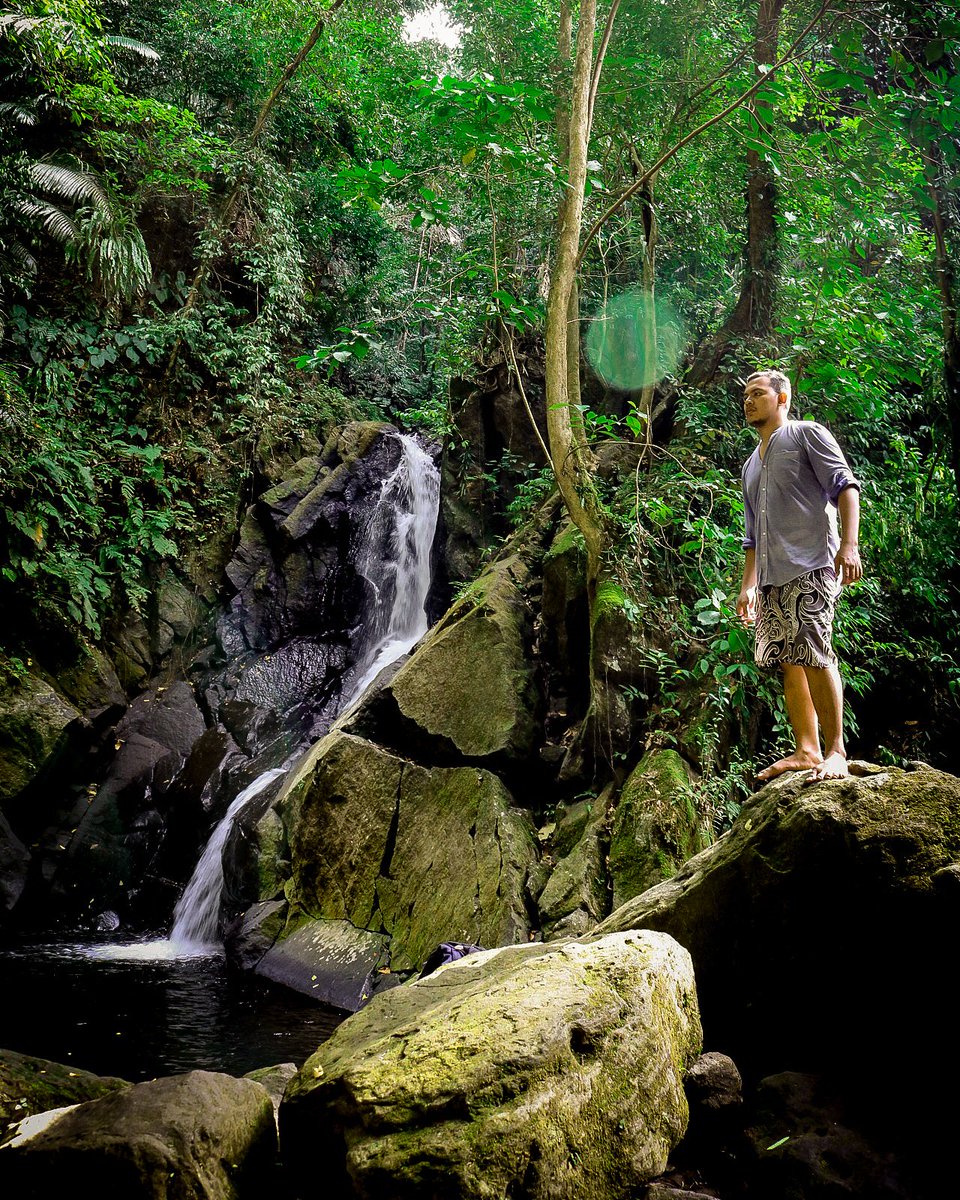 'And into the forest I go, to lose my mind and find my soul”⁣ ⁣ Ketika beban pikiran menumpuk dimana kepala rasanya ingin pecah, tapi saat melihat hutan damai pun menyelimuti dirimu. ⁣ ⁣ 📷 Canon 750D ⁣ ⁣ #captionkeren #hutanindonesia #medaninfluencer #likesforlikesback