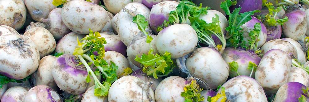 wayword's tweet image. New episode! waywordradio.org/off-the-turnip… A great book about language and the internet, imitating accents, classroom profanity, sayings for slips showing, commander in chief vs. commander *and* chief, fair game, dial eight in baseball, Bush legs, a word puzzle, and lots more.