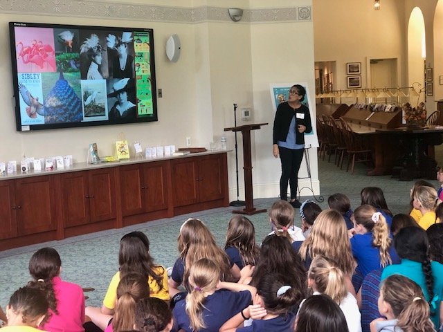 melinee_library's tweet photo. Intermediate students celebrated #HispanicHeritageMonth with author @CeliaCPerez She spoke about her creative writing process & the inspiration behind her 2 books #firstruleofpunk & #strangebirds 🦚#CuentosUnidos @VikingChildrens @BooksandBooks @CarrolltonSH #SacredHeartReads https://t.co/ns01TcxRn4
