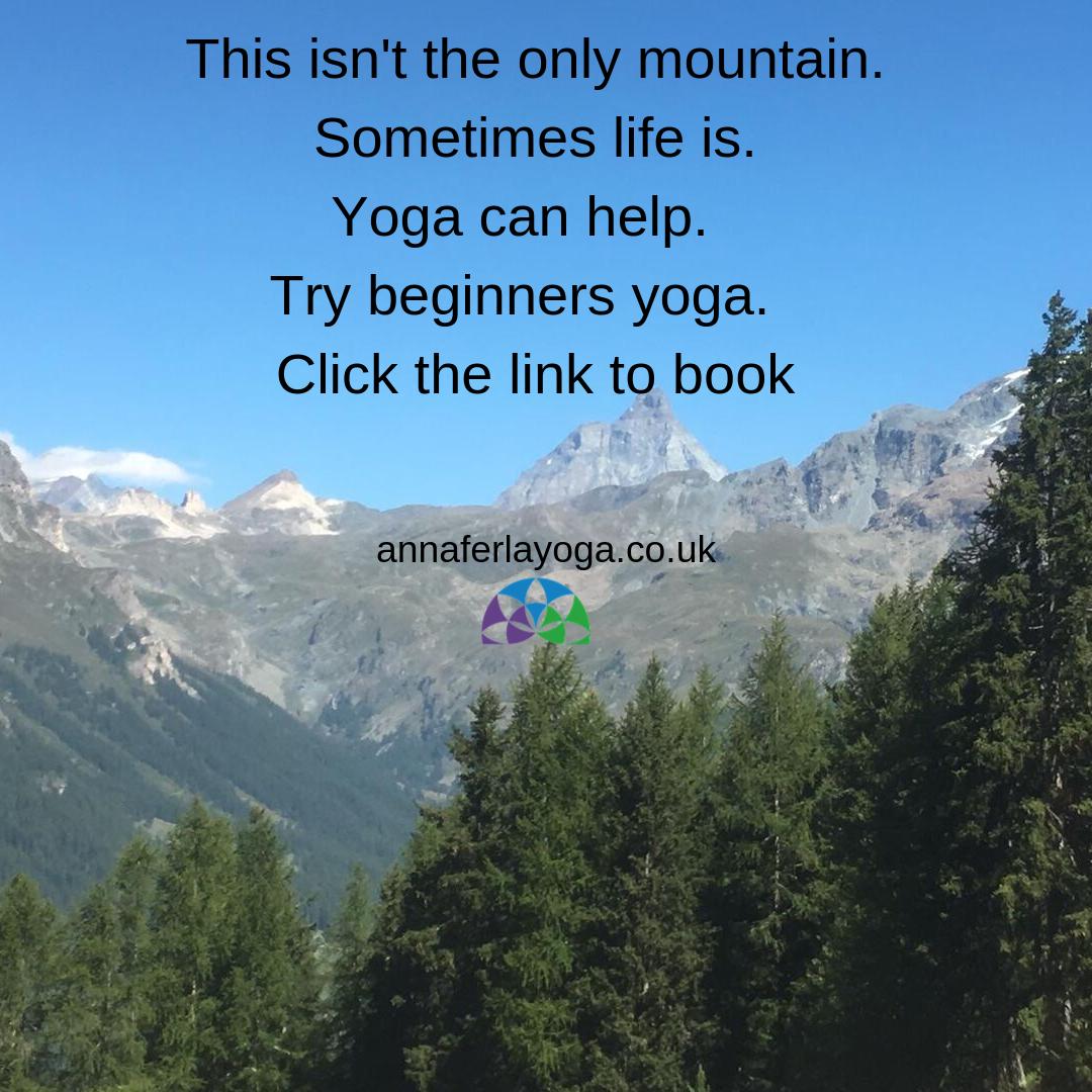 Anna Ferla tweet media