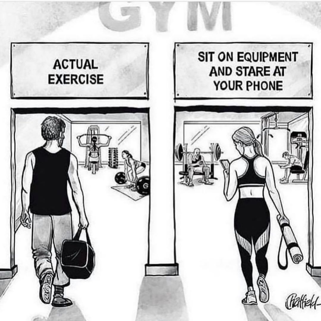 DanieMare1's tweet photo. This happens frequently. People sitting on gym equipment and socializing on devices. It irritates the living daylights out of me! #gymmotivation #gymtime #gym #virgingym #planetfitness #workout #fitness #fitnesstrainer https://t.co/YFSvchdMHy