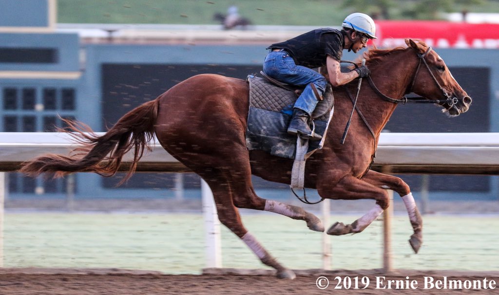 Jaime Roth on Twitter: