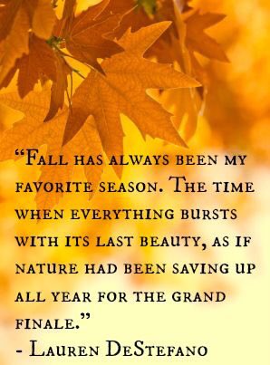 DC_Kearsley's tweet image. Happy #firstdayofall ! #BestSeason #AutumnEquinox #autumn #fallequinox #fall #FirstDayofAutumn 🍂🍁
