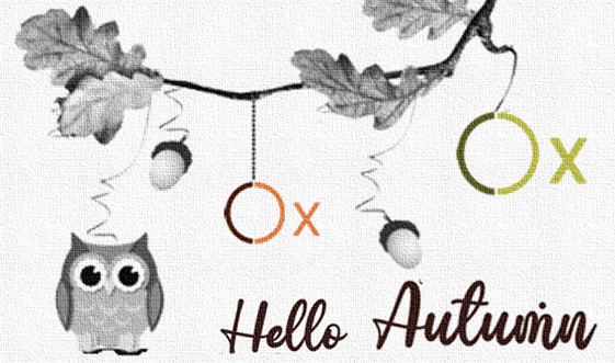 gioxcat's tweet photo. Check our webpage for new discounts! ➡️➡️https://t.co/QqWZnVB5NL Happy beginning of Autumn! 🍂🍁#consultancy #oxidants #hydrogenperoxide #labelled @ribas_xavi @MiquelCostas @JulioLloret @Cristinags https://t.co/IbNMPq31Bv