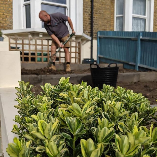 Working hard as always! #landscapegardeners #plews #southeastlondongardener ift.tt/2mCQTdF