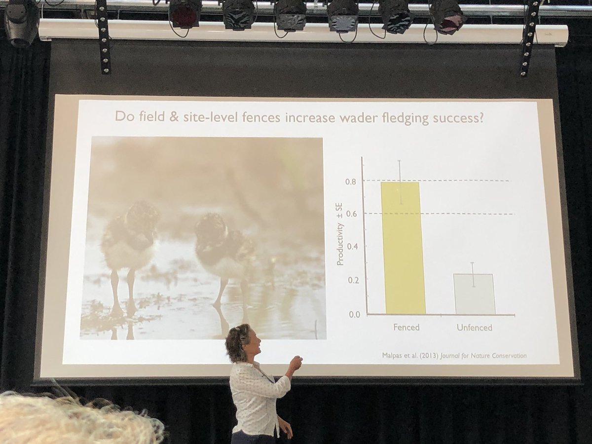 Mary Colwell tweet media