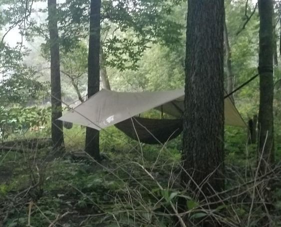 TheChillGorilla's tweet photo. James Gustafson has given our hex rain fly 5-stars! ⭐️ "A year in and I'm still loving it." ☺️
See the full review here https://t.co/18VYLXqhkh
#chillgorilla #hexrainfly #hammocktarp #camping #hammockcamping #hammocks #wilderness #mothernature #camp #travel #adventure #shelter https://t.co/dJ5yNRV9CB