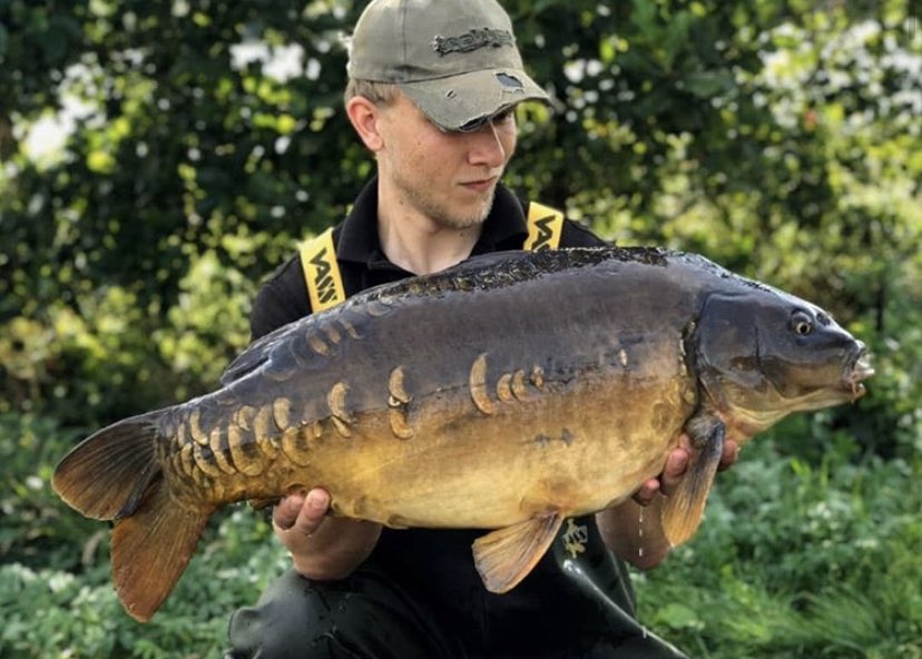 incrediblebaits's tweet photo. Matt Clarke with this stunning mirror caught using a TheTrap wafter over a scattering of TheTrap boilies and tigernuts.
#incrediblebaits #bait #TheTrap #pellets #boilies #popups #wafters #solidbags #pva #fishingbait #fishing #carpfishing #mirror #carp https://t.co/PQ5v0EpcyE