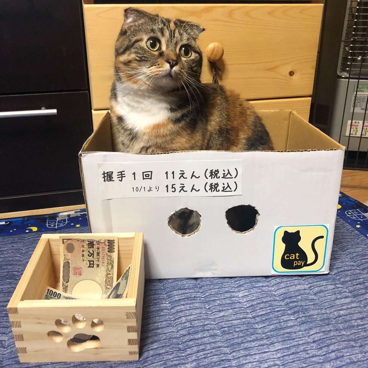 Maine Coon 一万円札が みやびさん 1回11円の握手 どんだけ したの