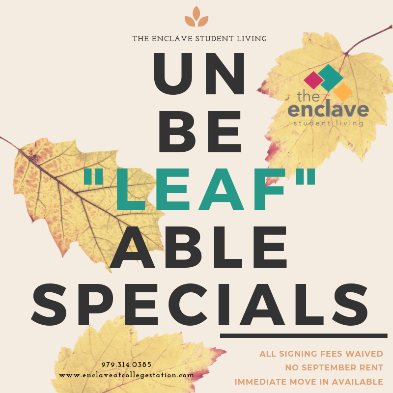 EnclaveAptsCS's tweet image. Autumn is officially here and we have some unbe"LEAF"able specials!!

#enclaveapts #studentliving #firstdayofautum #fall #Blinn #TAMU #waivedappfees #norentuntiloctober #1bedrooms #2bedrooms