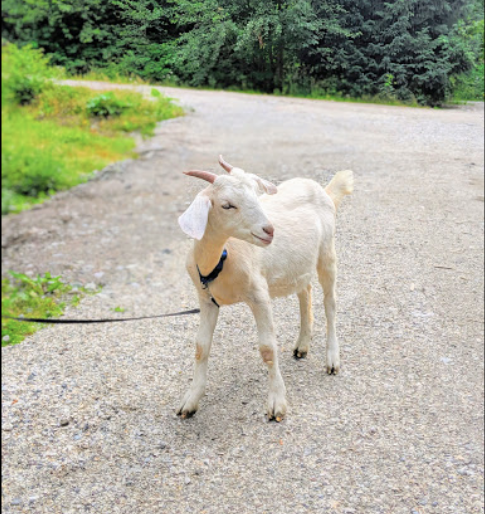 Outback Rafting tweet media