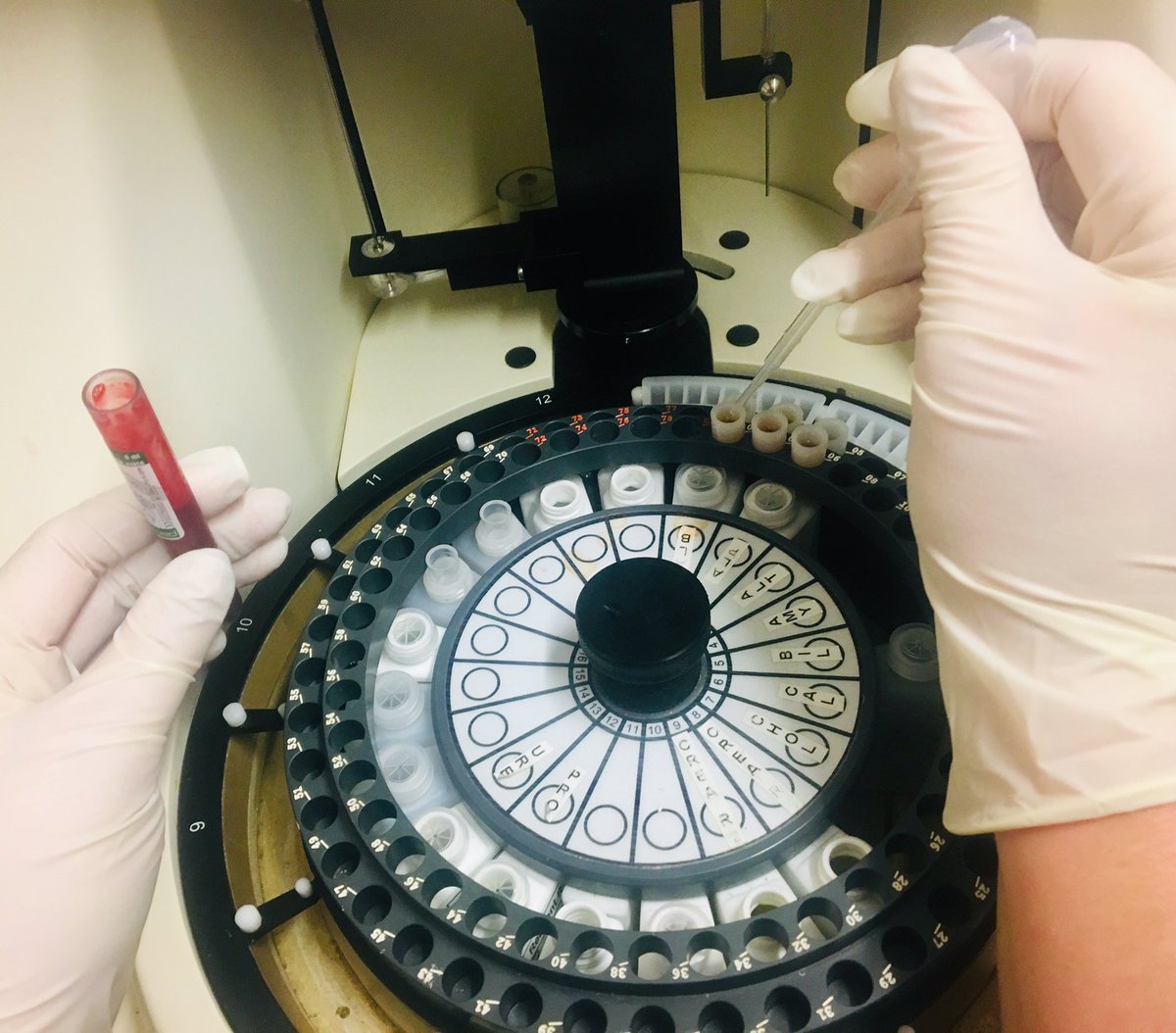 Fyrnwy Equine is proud to offer a range of in-house laboratory tests, ranging from various blood tests to faecal egg counts. All our in-house tests have a 24 hour turn around. Speak to your vet at your next visit to find out more about the services we offer #keepinghorseshealthy