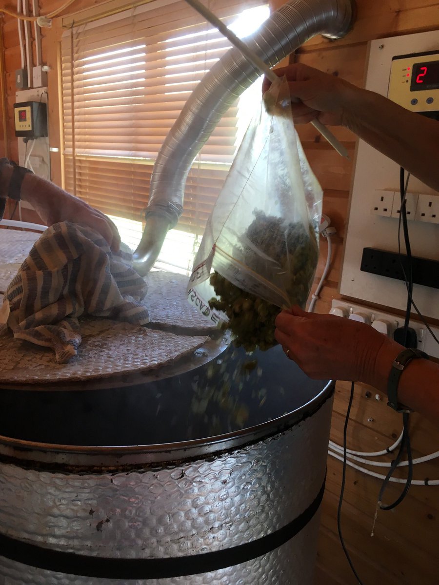 thepeepsbrewery's tweet photo. Brewing first batch of this year’s #NorfolkCascade with Cascade hops grown by friends around the village. You’ll be able to taste it at @NorwichBeerFest #local #norfolk #community #tinybrewery https://t.co/0y3xtEt7gs