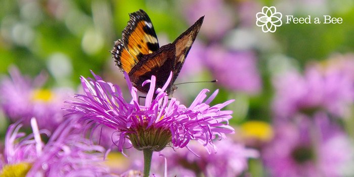 Bayer U.S. 🇺🇸 | Crop Science tweet media