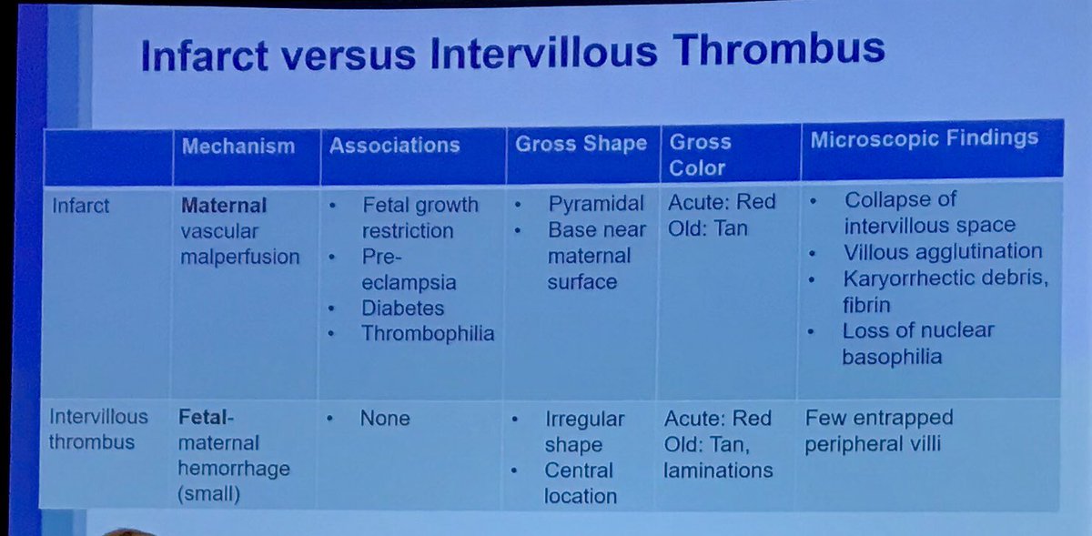 davidacohenmd's tweet image. Back in the groove. Great discussion on placenta pathology with @MArnold_PedPath  and Dr Koo #cap19