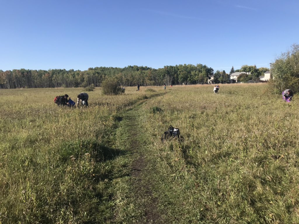 rob_riel9's tweet photo. WInnipeg School Division Indigenous Education Team picking sage for the work that is ahead of us this school year, honouring Mother Earth on this day. #wsdabed #winnipegsd https://t.co/5Xhtpli1ZU
