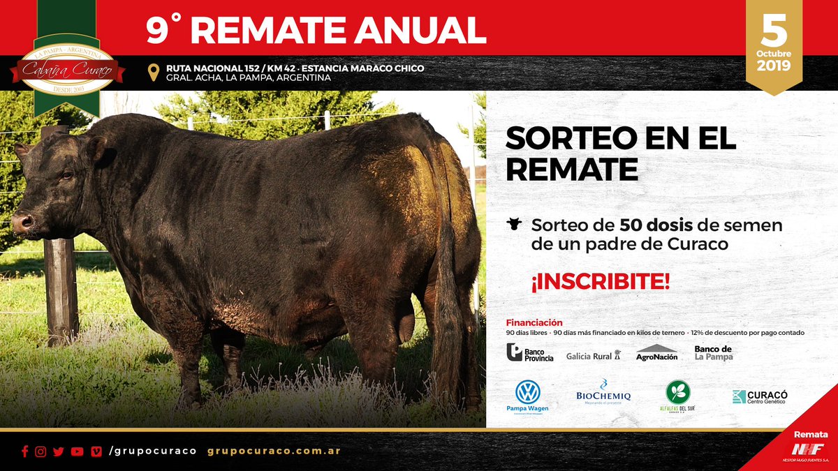 Faltan menos de dos semanas para nuestro 9° Remate Anual 🔜
Acordate que tenemos un sorteo especial para los presentes! 😉
Registrate en rematecuraco.com para participar 👌
.
<a href="/AngusAsocArg/">Angus Argentina</a> 
.
#GrupoCuraco #Remate #Sorteo