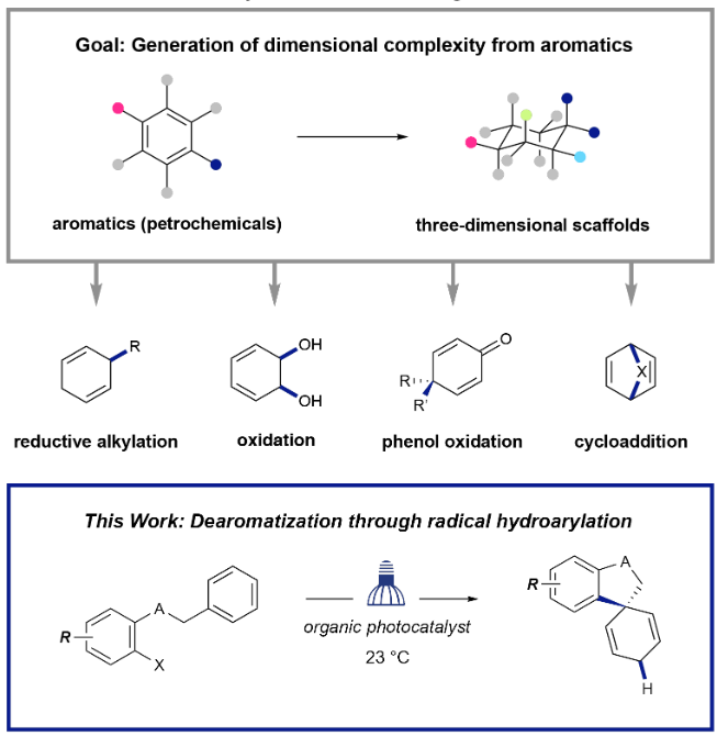 ChemRxiv's tweet photo. Arene Dearomatization via Radical Hydroarylation by Autumn Flynn, Kelly McDaniel, Meredith Hughes, David Vogt &amp; Nathan Jui (@Jui_Group)

https://t.co/Lj3ygGWofj https://t.co/PxIUNCuIM3