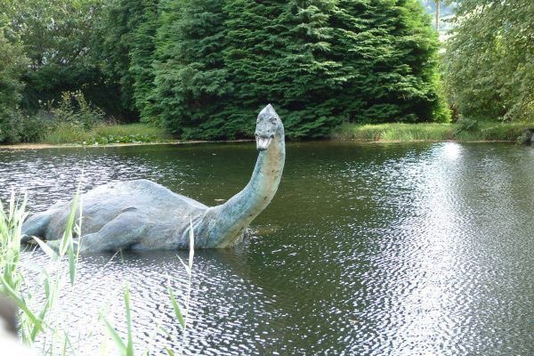 hudsonalpha's tweet photo. This week in Shareable Science: Can the #LochNess monster could help save marine life? @neillamb explains #ShareableScience #HudsonAlpha
https://t.co/uMz5pU45ZJ https://t.co/stlUr7EXpt