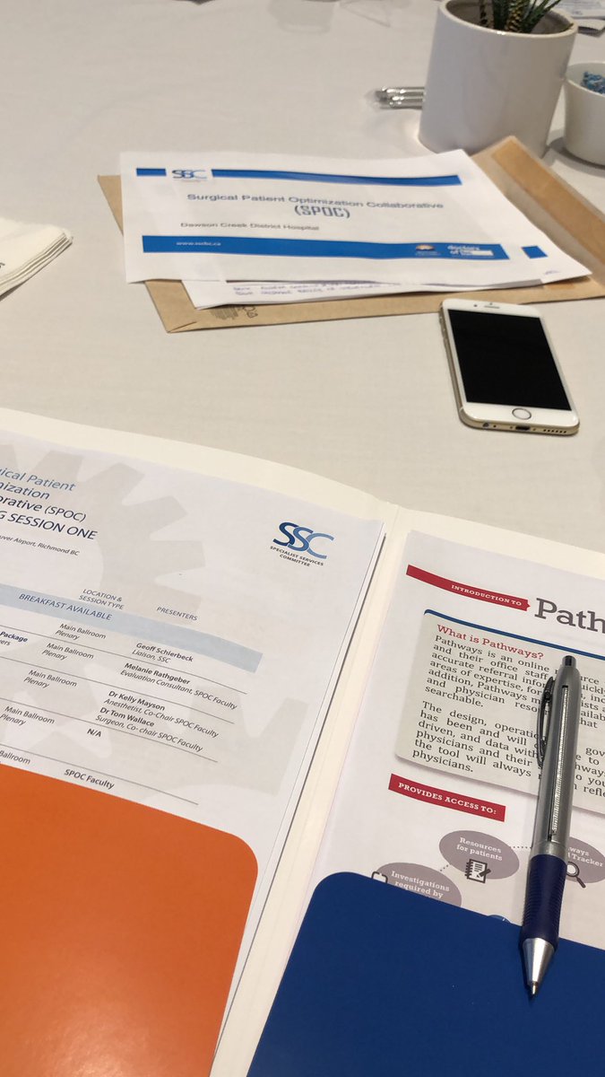 andreagoodtime's tweet photo. Spending the day with all the brilliant collaborative minds at #SPOC Thank you @DoctorsOfBC for this wonderful opportunity! Thanks for opening the day @GSchierbeck https://t.co/MfT7tv8IgW