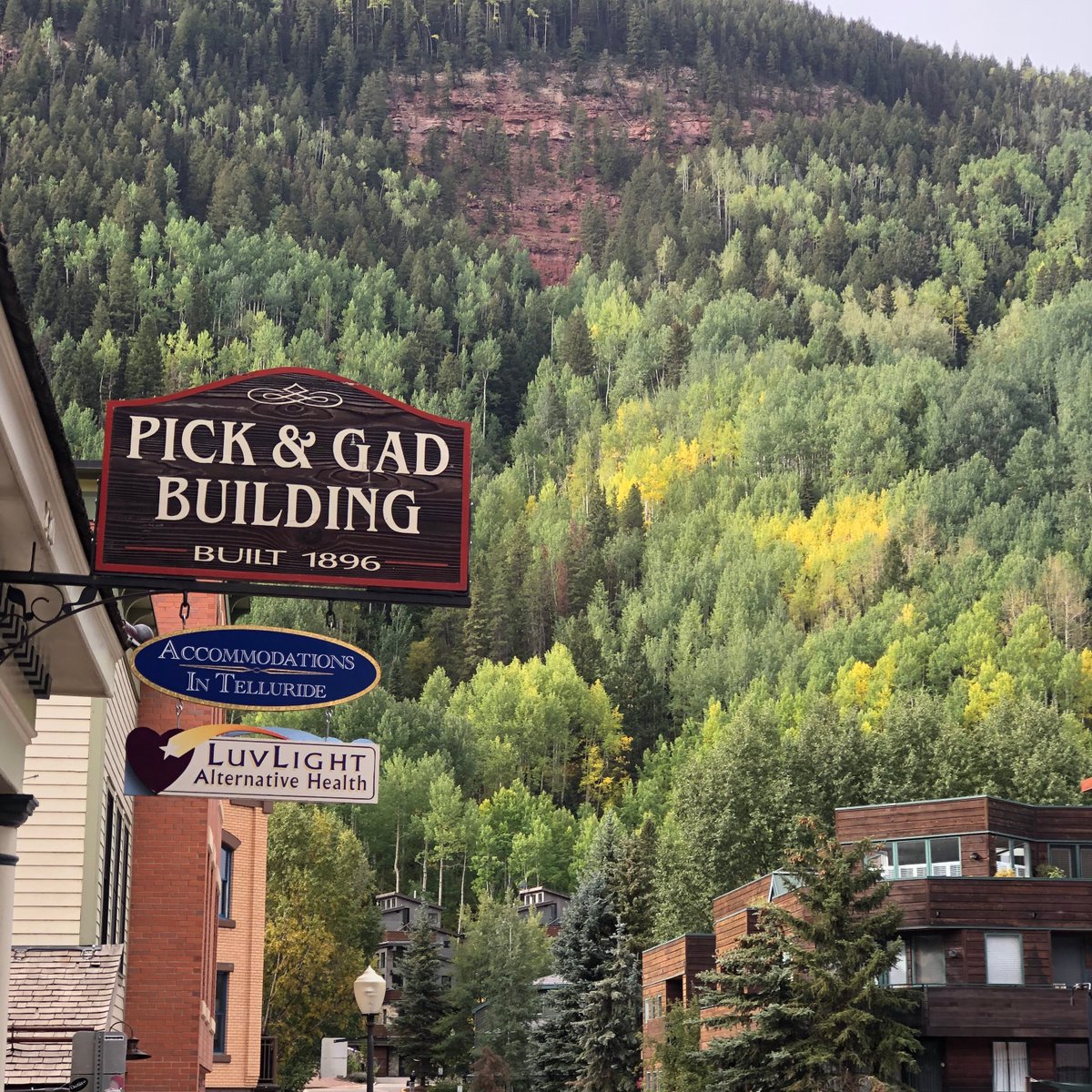 Fall is in the trees! #bookdirect