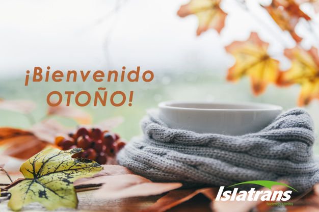 islatrans's tweet photo. ¡Bienvenido Otoño!🍁🍂🌬
@Islatrans
https://t.co/CG1z0pmQsu
#Otoño2019 #cambio #estacion #islatrans #empresa #mudanzas #trasteros https://t.co/cP06iEcudn