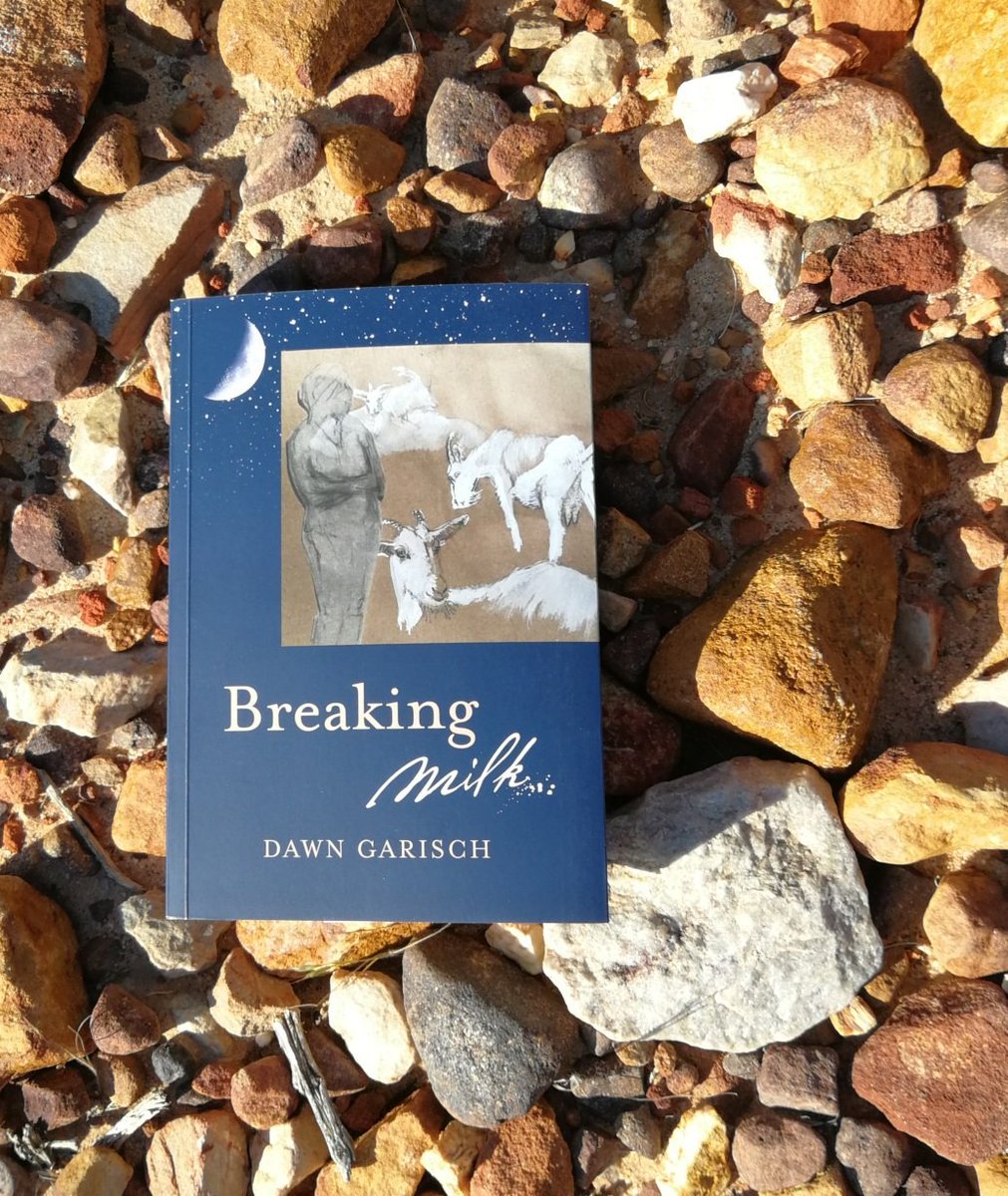 KaravanPress's tweet photo. "Garisch’s voice is unique in so seamlessly integrating contrasts of harsh emotion and scientific knowledge, generativity and decay, frailty and strength." @kenbarris about #BreakingMilk. https://t.co/BWS30UUjFs