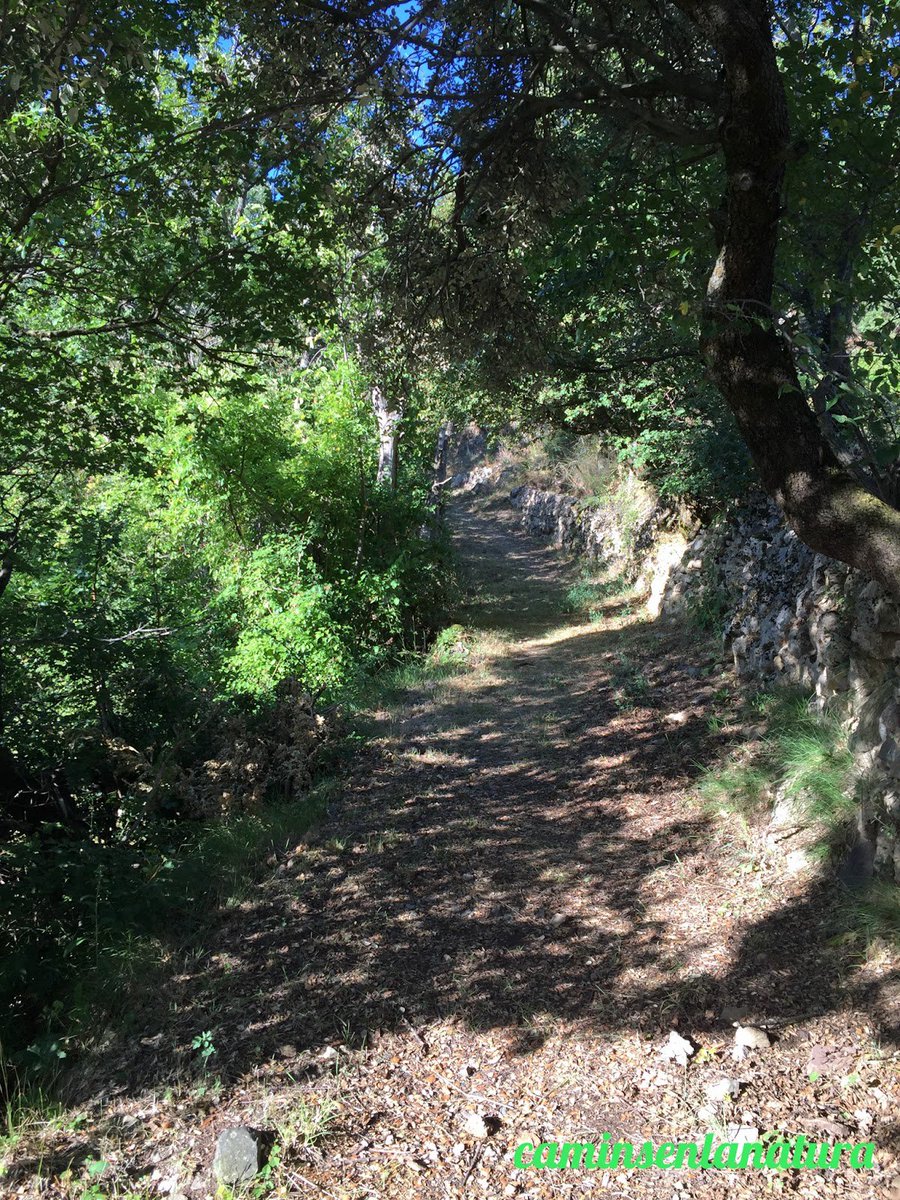 caminsnatura's tweet photo. Pel camí de #Castellestaó a #Antist, a la #VallFosca, a la comarca del #PallarsJussà. https://t.co/8BRRGvyMlQ