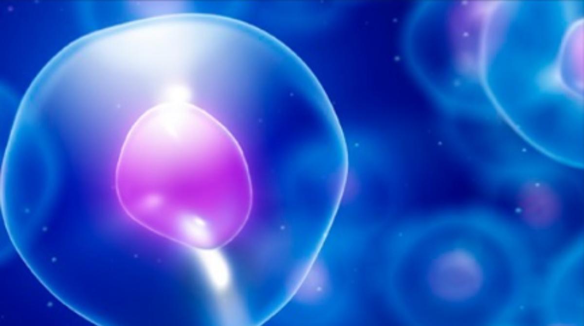 VitaOptica's tweet photo. Por primera vez oftalmólogos creen que las células madre pueden evitar perder la vista. Si quieres saber más sigue leyendo este post de @Biotech_Spain
https://t.co/T2MfMuNG3e #oftalmologos #celulas https://t.co/DkUchvLx6q