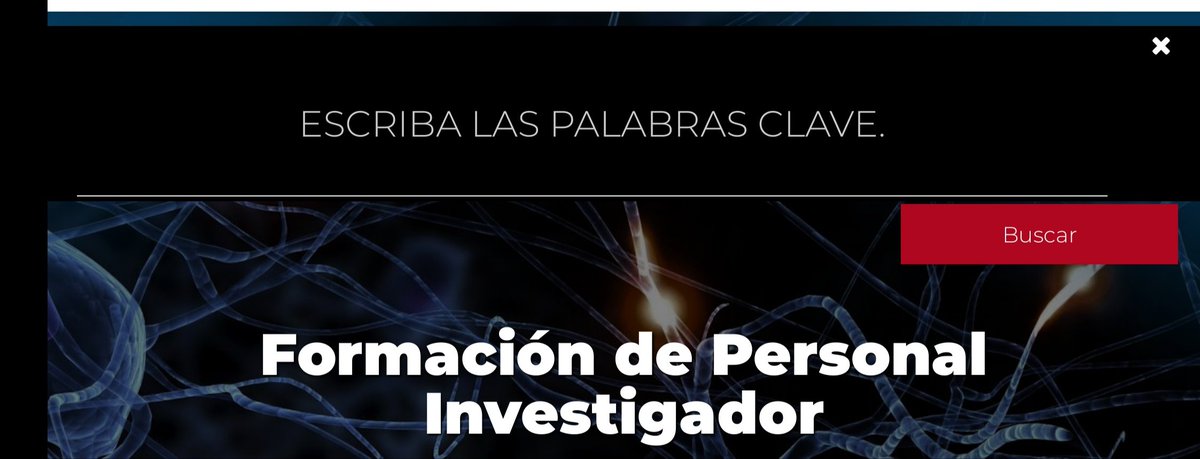 DPE_CSIC's tweet photo. 🧐🧐 Ya son más de 60 las ofertas temáticas para que solicites la próxima conv #FPI2019 que están disponibles en la web. Emplea el buscador poniendo FPI y palabras clave https://t.co/r6lFVsB85X https://t.co/INt4ISs99S