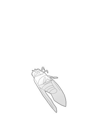 美月のtwitterイラスト検索結果 古い順