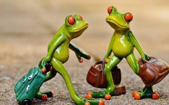 Muslim_News1's tweet image. چل چلیئے دنیا دی اس نکرے...!
جتھے لاھوری نہ لاھوریاں دی چھاں  ہووے😂
#SyCo💔