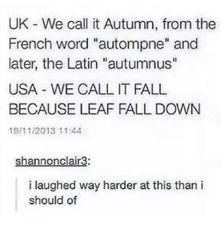 RKlaphake's tweet photo. It’s that time of year🍂 https://t.co/SpJiKZMGot