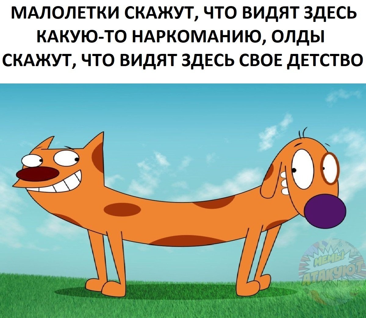 Русский Котопес