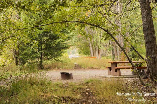 MomentsintheG's tweet photo. I guess it is officially the start of fall. Checkout my blog post "Autumn Vibes" on https://t.co/kTnhPgD0f0. #startoffall #chrysanthemum #chokecherryberries #autumnvibes #fintryprovincialpark #momentsinthegardenphotography https://t.co/7JBAu6kbKz