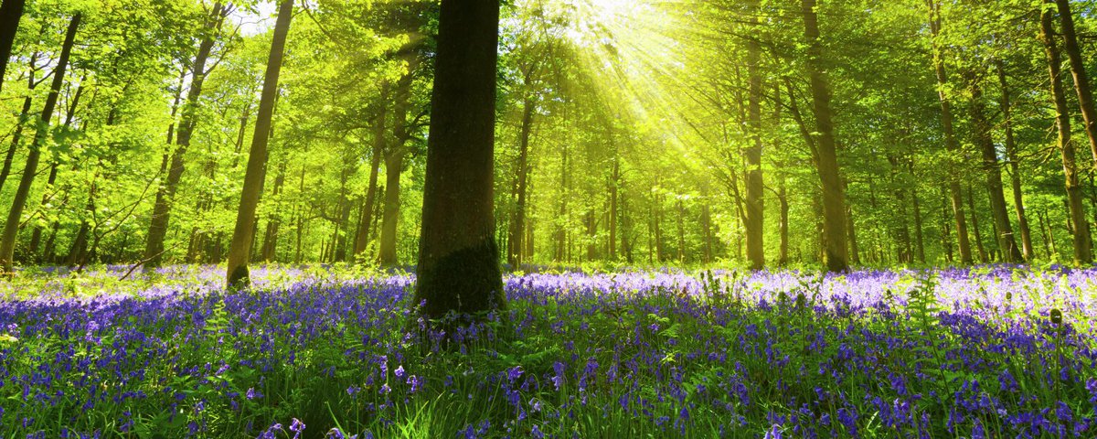 Caerphilly Funeral Services tweet media